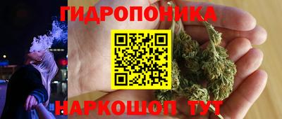PSILOCYBIN Кулебаки