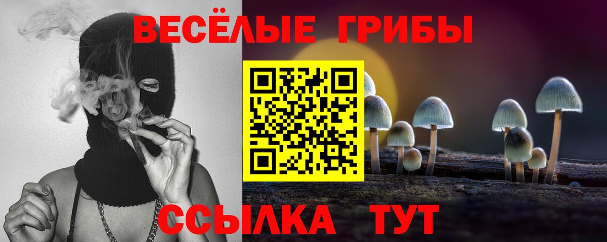 Улан-Удэ  наркотики  Вход с VPN  Галлюциногенные грибы Psilocybine cubensis  Галлюциногенные грибы Cubensis 
